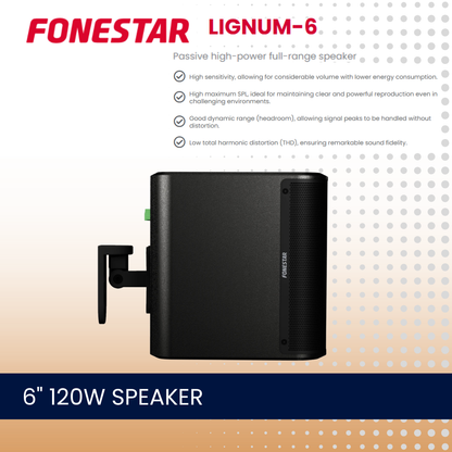 Fonestar LIGNUM-6  6" 120W low impedance high-power speaker