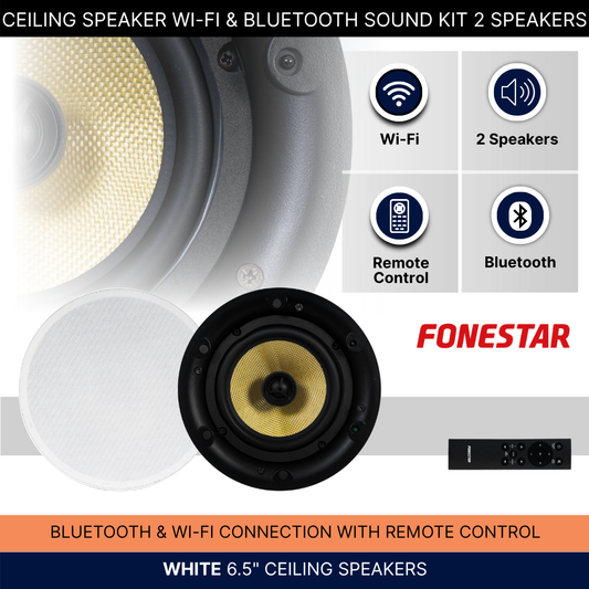 Ceiling Speaker Wi-Fi & Bluetooth Sound Kit 2 Speakers Background Music System